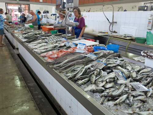Interior of the landmark Olhão municipal fish market hall showcasing wide varieties of fresh Atlantic seafood catches on ice