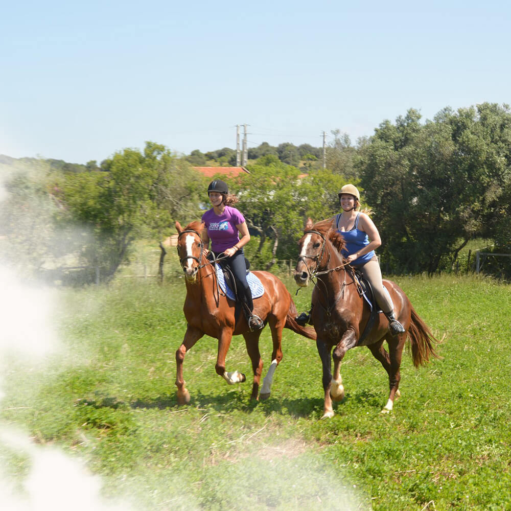 Tiffany's Horse Riding Centre entrance located near Salema in the western Algarve countryside